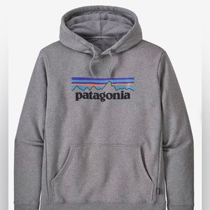 Patagonia Hoodie